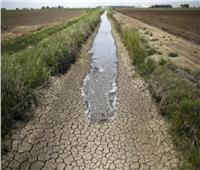 4 إجراءات تنفذها الزارعة لمواجهة ندرة المياه.. تعرف عليها
