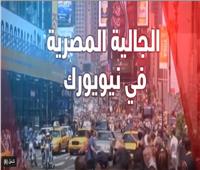 الجالية المصرية بنيويورك تحث للمشاركة في الاستفتاء على التعديلات الدستورية