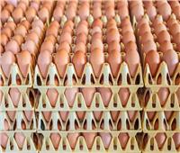 «الزراعة» تعلن تصدير أكثر من مليون بيضة مائدة إلى البحرين