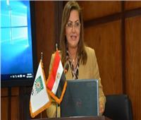 وزيرة التخطيط: نستهدف مضاعفة حجم الصادرات المصرية من 24,8 مليار دولار الى 55 مليار دولار
