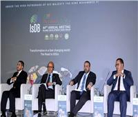 «الاستثمار» تعرض الجهود المصرية في تحقيق التمكين الاقتصادي ودعم المشروعات