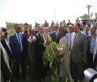 صور| وزير الزراعة يتفقد زراعات القمح والبنجر والفول بمنفلوط