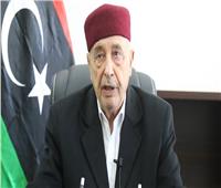 رئيس برلمان شرق ليبيا: عملية طرابلس مستمرة