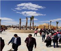 البيئة: محمية وادي الريان تستقبل 3938 زائرا من طلبة الجامعات المصرية