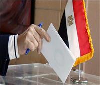 انتهاء الاستعدادات لاستقبال المصريين للتصويت على الاستفتاء بالرياض 
