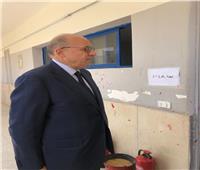 التعديلات الدستورية 2019| عادل العدوي وزير الصحة الأسبق يشارك في الاستفتاء