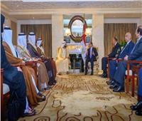 بن راشد بعد لقاء السيسي: نسعى للتنسيق الاقتصادي مع رئيس أكبر دول المنطقة