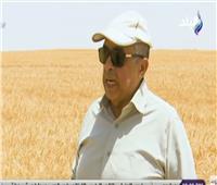 الزراعة: مصر حققت الاكتفاء الذاتي من تقاوي القمح 