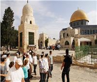 مستوطنون يقتحمون المسجد الأقصى بحراسة مشددة من الاحتلال الإسرائيلي