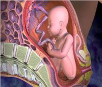 فيديو| الخلايا الجذعية من مشيمة الأمهات يمكنها علاج القلب