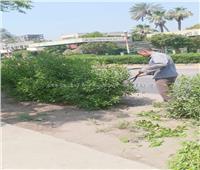 رفع كفاءة وتجميل «حدائق الغلابة» بحي شرق شبرا الخيمة