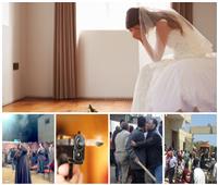تقرير| كوارث «يوم الزفاف» .. وفاة العروسة وتسمم المعازيم بالترمس 