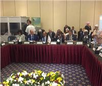 مصر ترشح محافظ جنوب سيناء لتولي منصب نائب منظمة المدن الأفريقية
