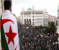 من النفوذ إلى السقوط| مسؤولي الجزائر «قيد التحقيق»