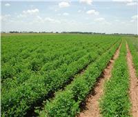 الزراعة تقدم كشف حساب قطاع الخدمات الزراعية والمتابعة خلال عام