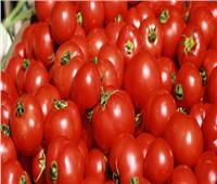 الحكومة تكشف أسباب انخفاض أسعار الطماطم 