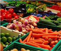 الزراعة: فتح 20 سوقا جديدة أمام الصادرات خلال عام