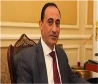 وكيل نقل البرلمان يطالب الحكومة بتطوير الموانئ المصرية