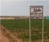 الزراعة تصدر تقريرا حول تجربة ترشيد استخدام المياه بمشروع غرب المنيا