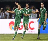 أمم إفريقيا 2019| الجزائر تتقدم على غينيا بهدف رائع لـ«البلايلي».. فيديو