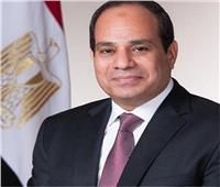 السيسي يعود إلى القاهرة بعد المشاركة بقمة الاتحاد الأفريقي في النيجر