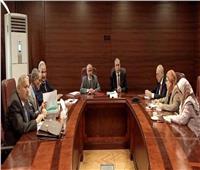 المجلس الأعلى للنيابة الإدارية يعقد أول اجتماع بالتشكيل الجديد