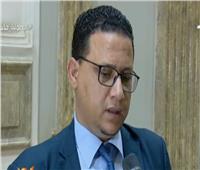 فيديو| متحدث النواب الليبي: لن نسمح لأحد بالتدخل في شئون بلادنا