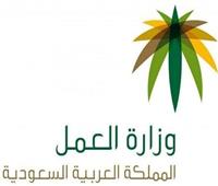 السعودية تُطلق بوابة إلكترونية لعرض الوظائف المتاحة خلال موسم الحج 