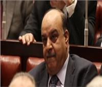 برلماني: لم الشمل الليبي أهم الشواغل المصرية للحفاظ على بلادنا العربية