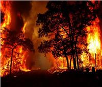 إندونيسيا ترسل آلافًا من قوات الأمن لمكافحة حرائق الغابات