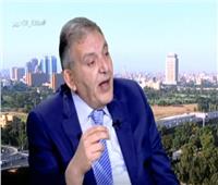فيديو| الوكيل: المؤسسات الدولية تؤكد نجاح الإصلاح الاقتصادي بمصر