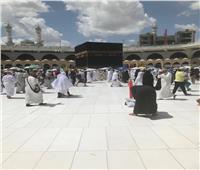 التضامن تعلن تفويج ٦٩١ حاجًا من مكة لزيارة مسجد رسول الله