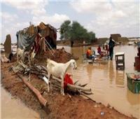 انهيار 9500 منزل ووفاة 46 شخصا جراء السيول في السودان