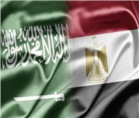 الكهرباء السعودية: مركز إقليمي للربط بين آسيا وأفريقيا بالتعاون مع مصر