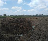 البيئة في مواجهة السحابة السوداء.. تجميع ما يقرب من 1076 طن قش أرز 