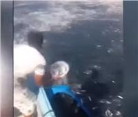 فيديو| اصطياد الأسماك في خليج  عُمان.. متعة للعين وترفيه