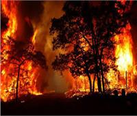 فرار مئات السكان جراء اشتعال 140 حريق غابات في أستراليا