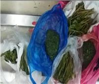 ضبط يمني حاول تهريب 900  جرام من نبات القات المخدر بمطار القاهرة