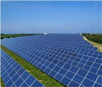 فروح: «الخلايا الشمسية» تستهدف إزالة العوائق أمام منتجي الطاقة
