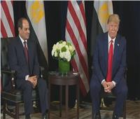 شيوخ الدبلوماسية: حديث ترامب عن دور السيسي رسالة دعم لمصر