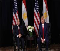 خبراء الاقتصاد: ترامب يشيد بـ«مصر المستقرة»