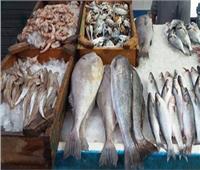 مباحث التموين تشن حملة مكبرة على محال بيع الأسماك بالإسكندرية