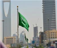 الربيعة: السعودية قدمت لليمن 14.5 مليار دولار  