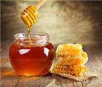 تأثر إنتاج العسل في البرتغال بالحرائق