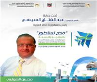 «مصر تستطيع بالاستثمار» يضم خبراء تطوير التعليم وبناء القدرات 