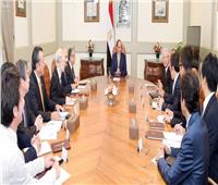 فيديو| التقى المستثمرين المصريين ورئيس «تويوتا».. نشاط مكثف للرئيس السيسي
