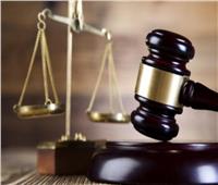 اليوم.. استكمال سماع الشهود في محاكمة حمادة السيد و42 آخرين بـ«ولاية سيناء»