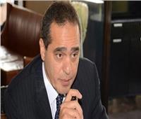 «التصديري للكيماويات»: خطة عمل للتعاون المشترك بين مصر و دول أفريقيا