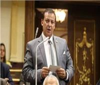 برلماني يطالب مؤسسات الدولة بتطبيق سياسات جامعة القاهرة لخدمة المجتمع