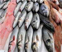 انخفاض أسعار بعض أنواع الأسماك بالإسكندرية